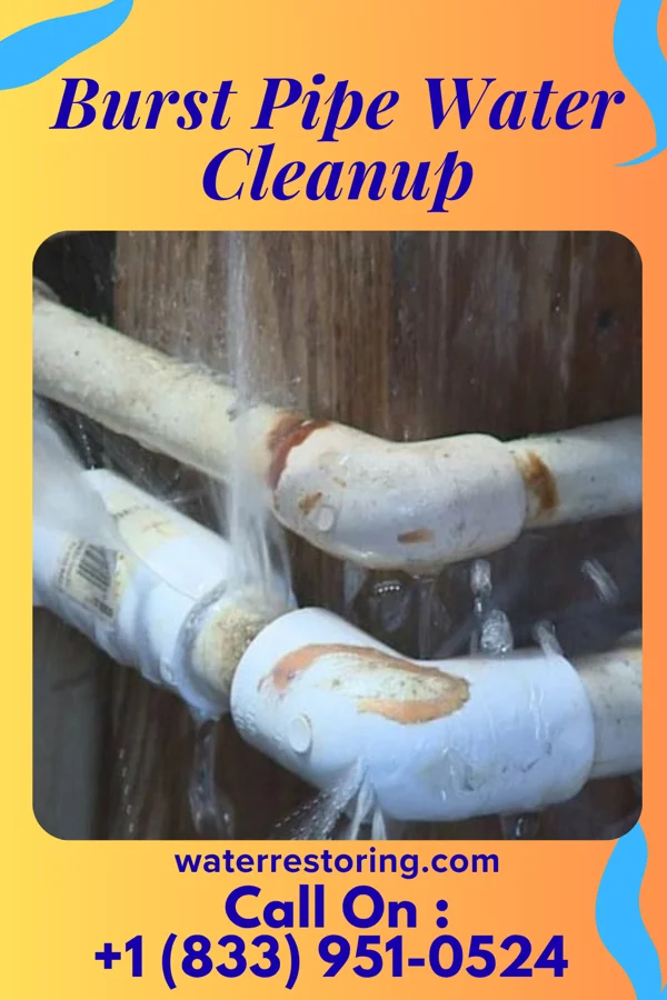 Burst Pipe Water Cleanup in Luckey, OH