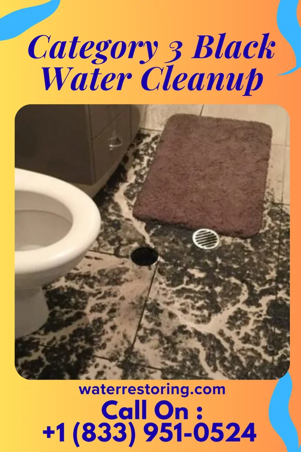 Category 3 Black Water Cleanup in Luckey, OH