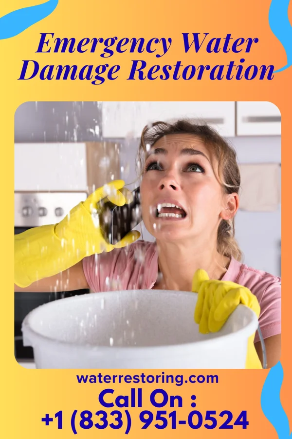 Emergency Water Damage Restoration in Luckey, OH