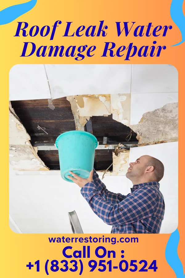 Roof Leak Water Damage Repair in Luckey, OH