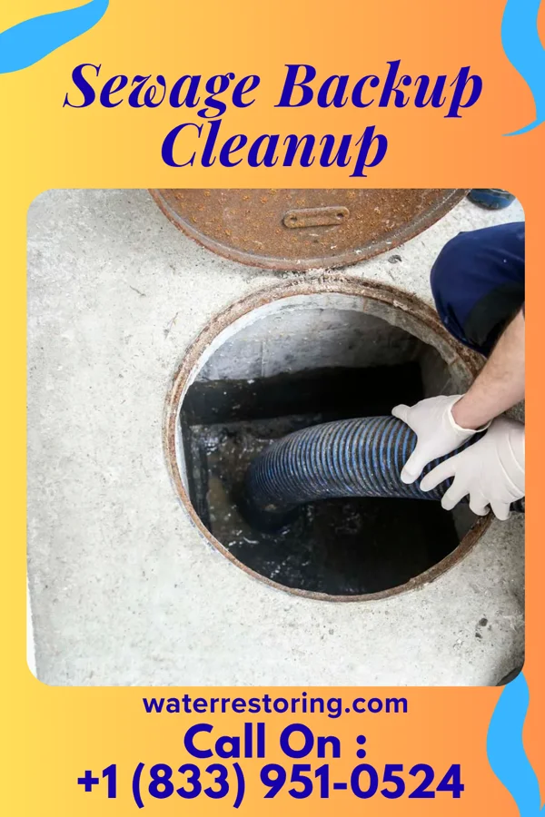 Sewage Backup Cleanup in Luckey, OH