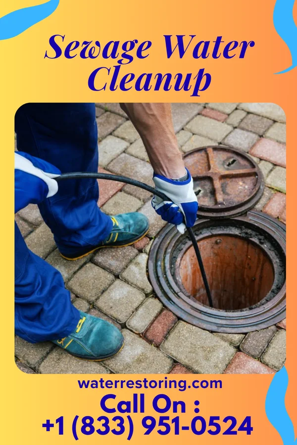 Sewage Water Cleanup in Luckey, OH