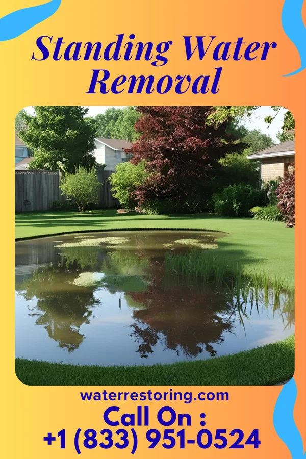 Standing Water Removal in Luckey, OH
